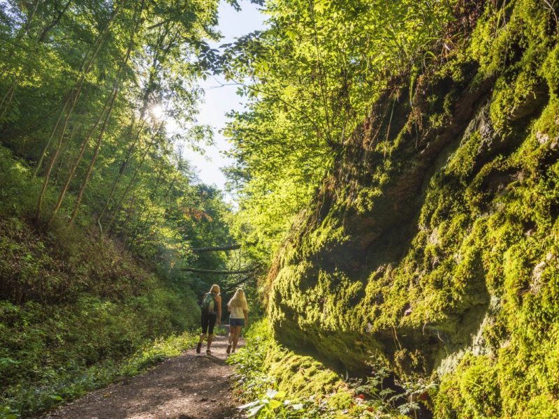Thueringer Wald