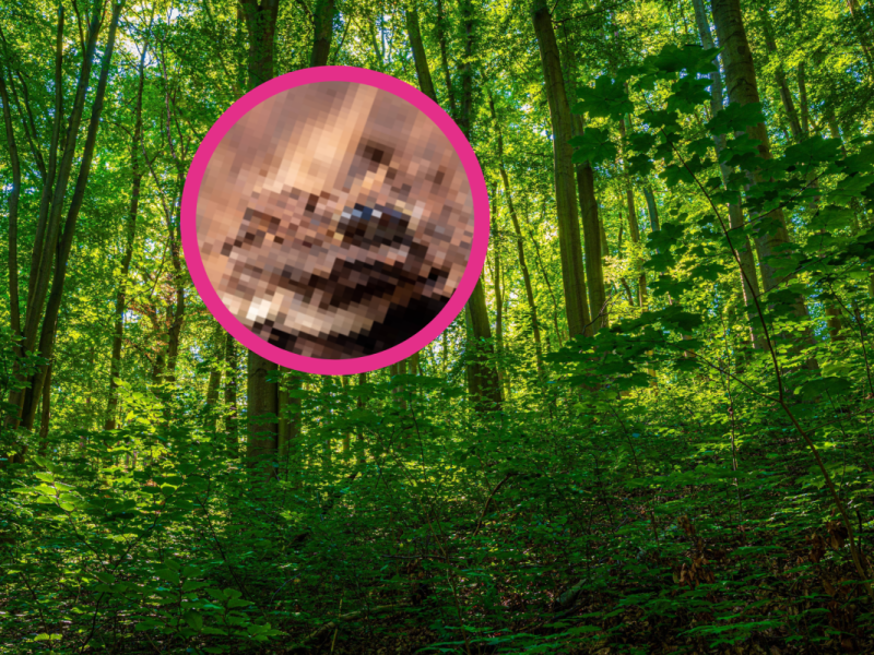 Thueringer Wald