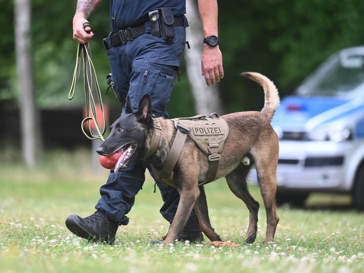 In einer spektakulären Rettungsaktion in Thüringen wird ein Fährtenhund zum Helden. Die Familie ist erleichtert.