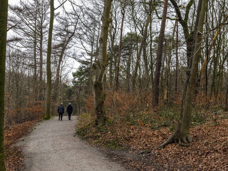 wetter thueringen