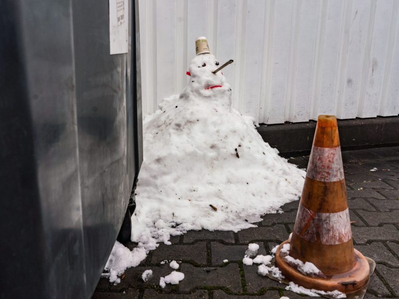 Droht uns erneut ein trostloser Winter? Aktuell sind sich die Experten mal einig: Das Wetter in Thüringen ist und bleibt zu warm.