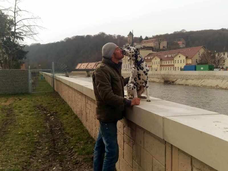 Björn liebt Gera!