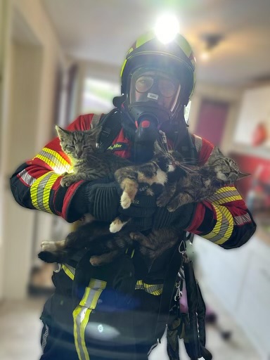 Bei einem Feuerwehreinsatz in Thüringen kam es zu einer Rettung in letzter Sekunde. Vier Kätzchen konnten vorm Ersticken gerettet werden.