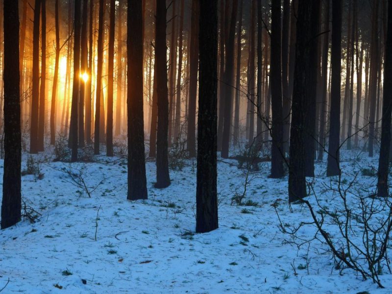 Wetter in Thüringen: Erster Winter-Hammer bahnt sich an – fällt jetzt der erste Schnee?