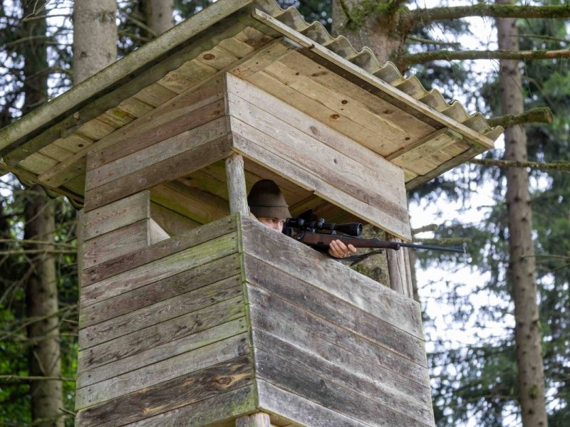 Schweres Unglück bei einem Jagdunfall in Thüringen! Ein Mann wird dabei schwer verletzt.