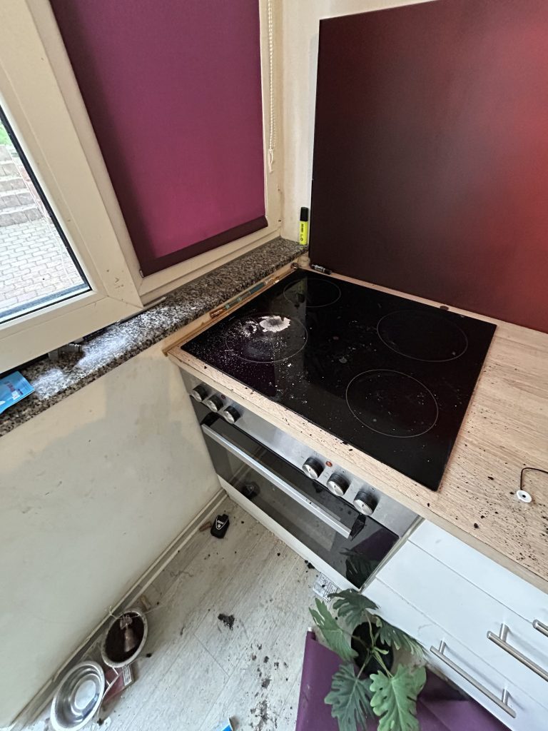 Bei einem Feuerwehreinsatz in Thüringen kam es zu einer Rettung in letzter Sekunde. Vier Kätzchen konnten vorm Ersticken gerettet werden.