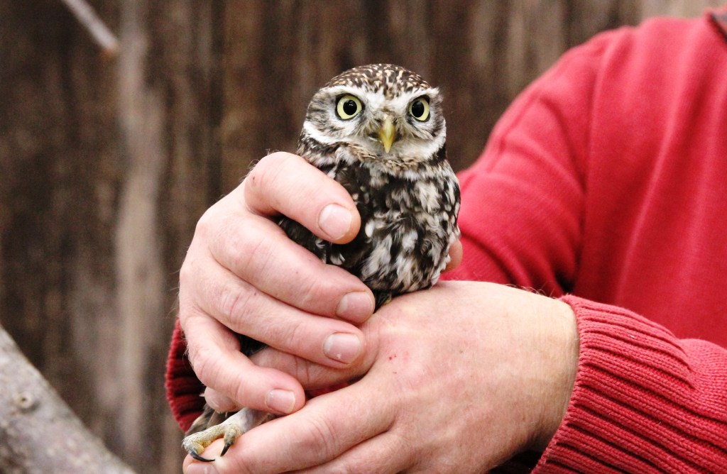 Zoo Erfurt