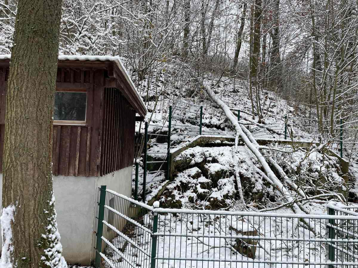 Tierpark Bad Liebenstein Thueringen