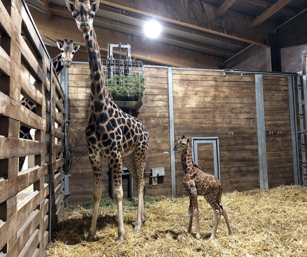 Zoo Leipzig