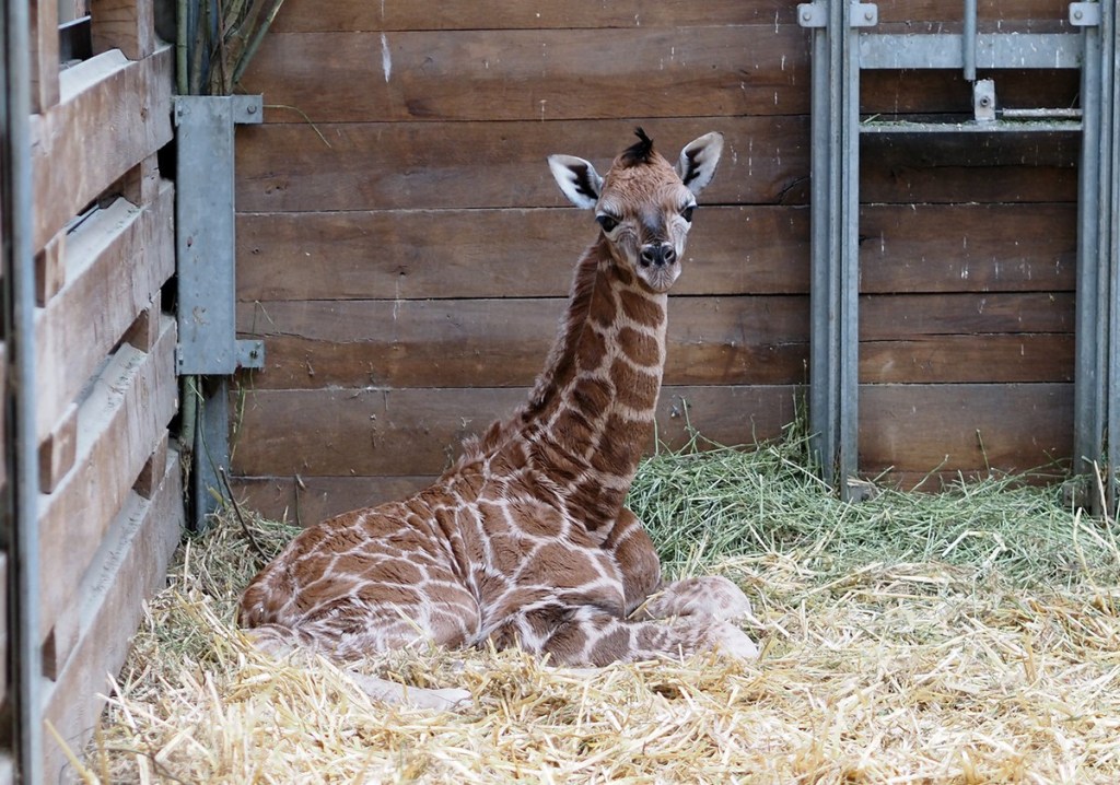 Zoo Leipzig 