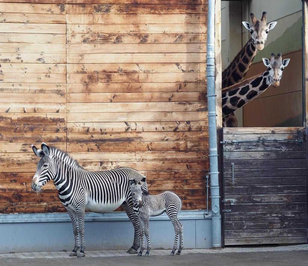 Zoo Leipzig