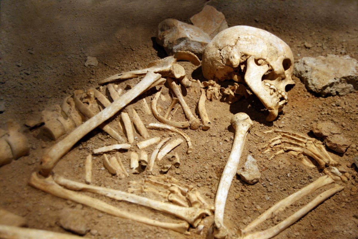 Forscher fanden in Schweden ein besonderes Skelett (Symbolbild).