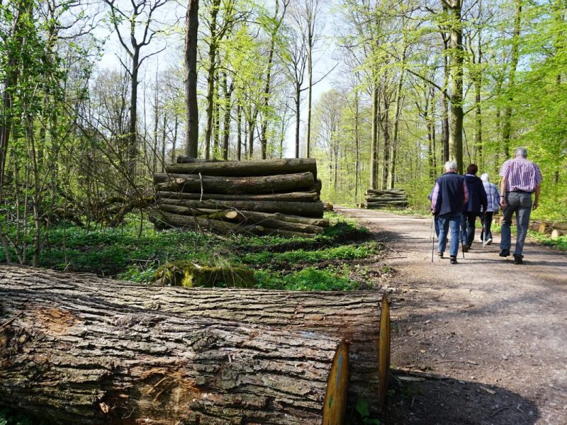 Wetter in Thüringen