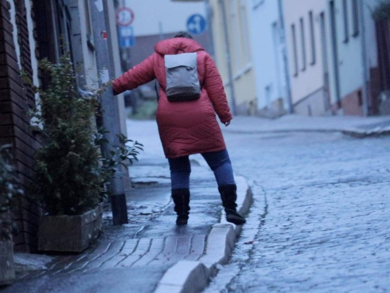 Es ist mal wieder ein Mildwinter.