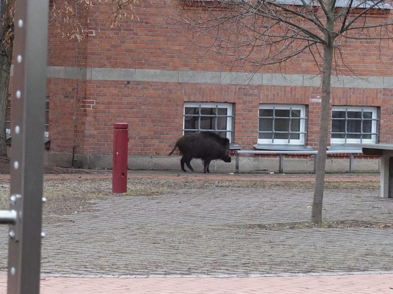 thueringen