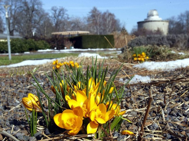 Das Wetter in Thüringen bleibt unbeständig – von Frühlingswetter bis hin zu Tiefdruckfront ist alles dabei.
