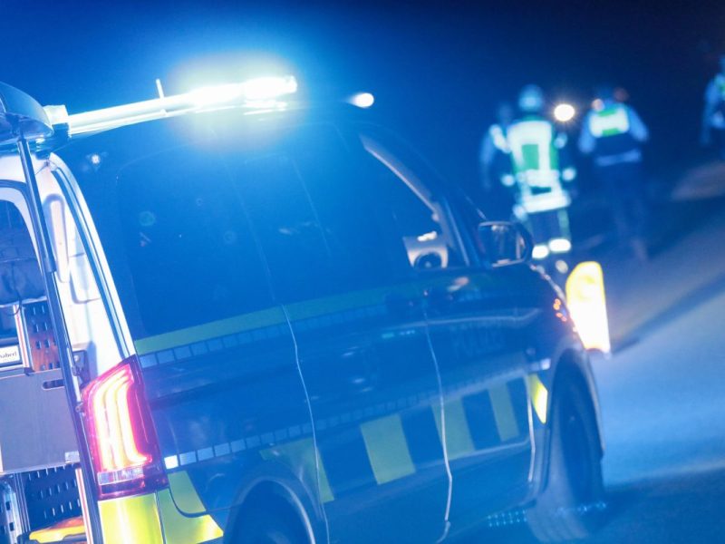 Unheimliche Begegnung auf Thüringens Autobahn A9: Ein seltenes Tier löst einen Unfall aus, das es selbst nicht überlebt.