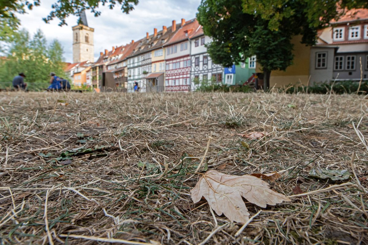 wetter thueringen