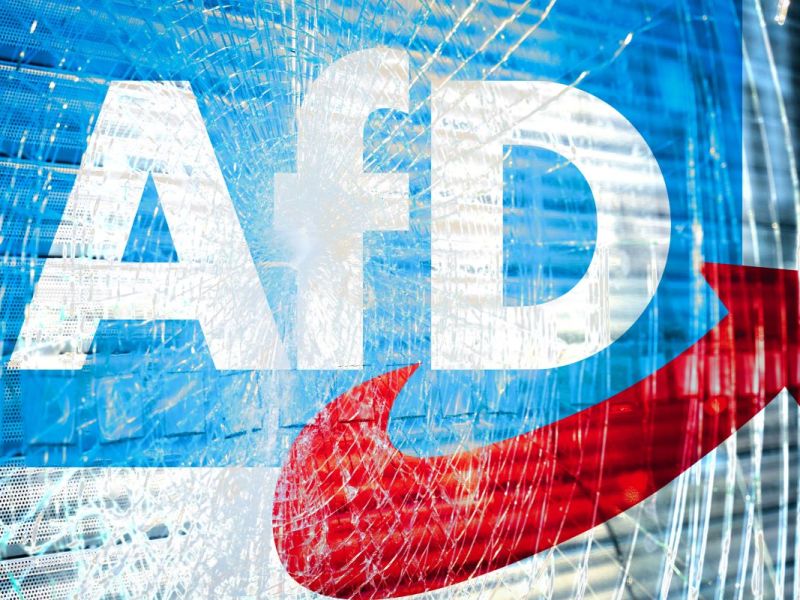 Ein zersplittertes AfD-Logo