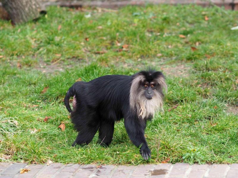 zoo leipzig