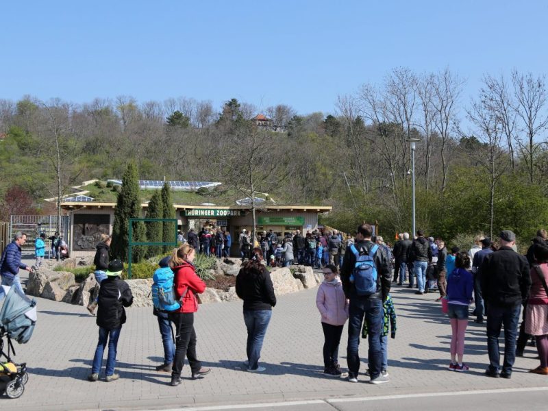 erfurter zoo