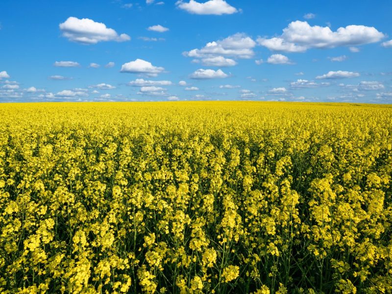 wetter thüringen