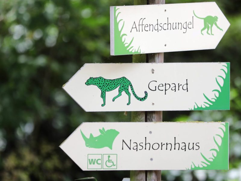Im Zoo in Erfurt ist jemand Neues eingezogen. (Archivbild)