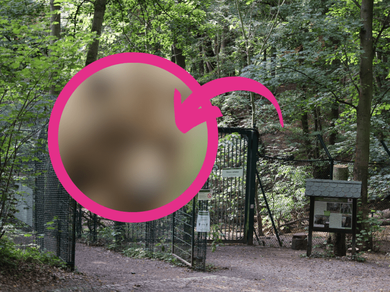 Thueringer Tierpark