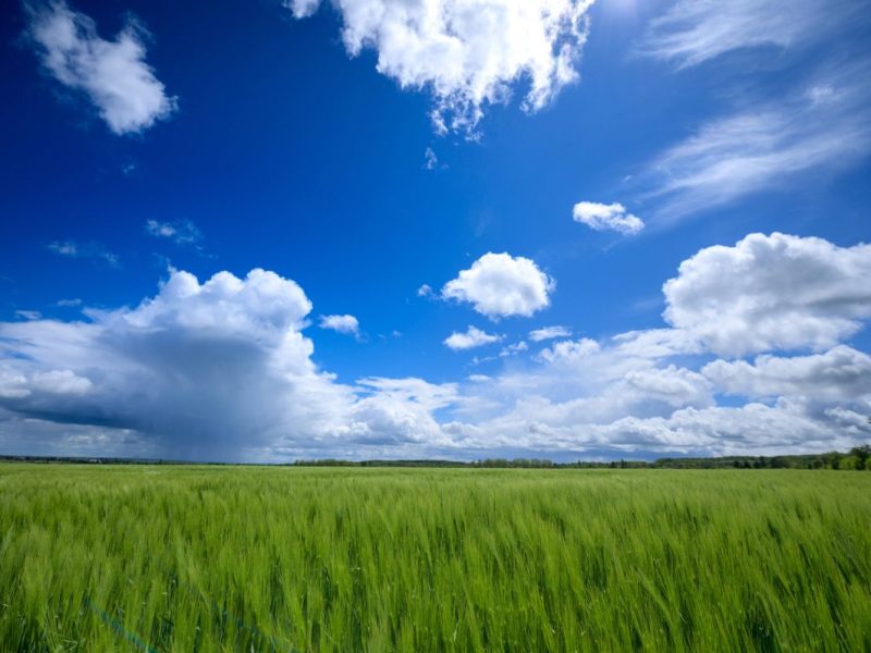 wetter thüringen