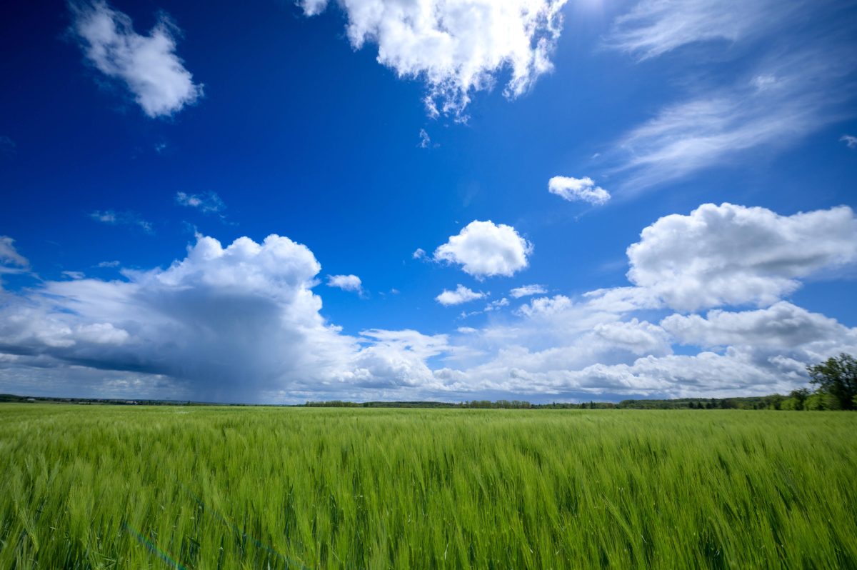 wetter thüringen