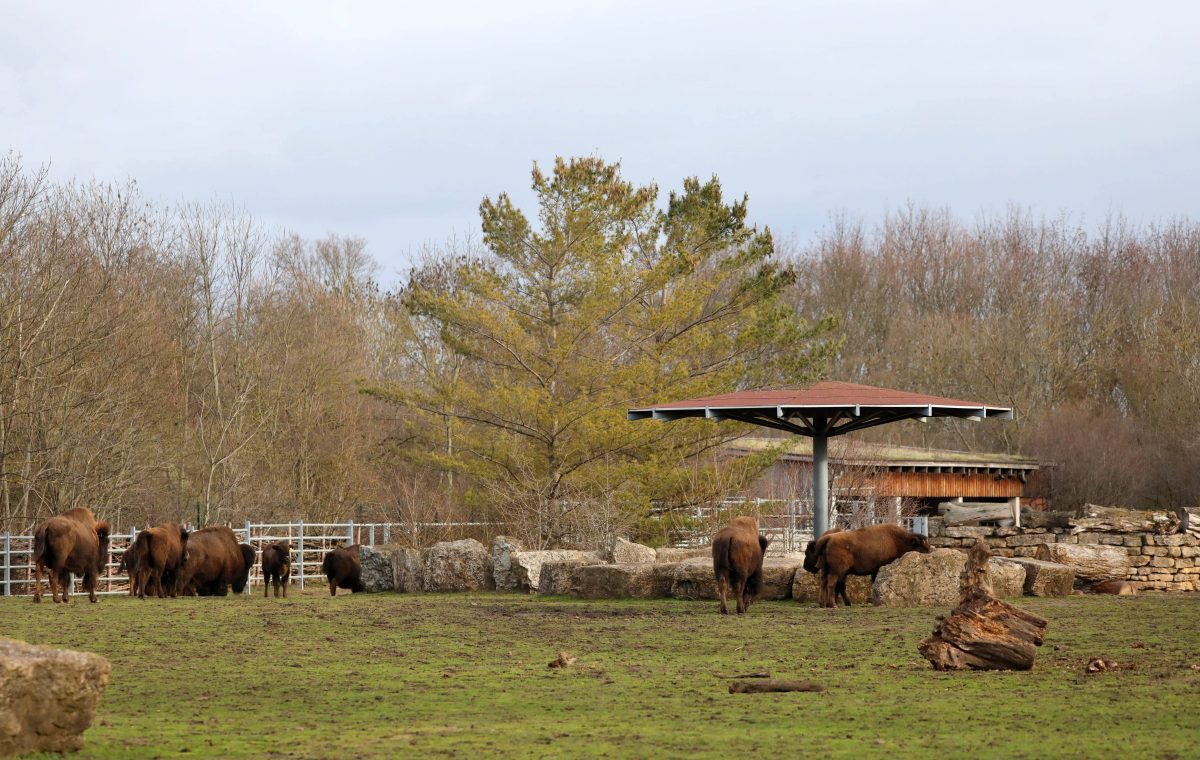 zoo erfurt