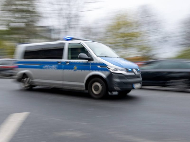 wahlen sachsen