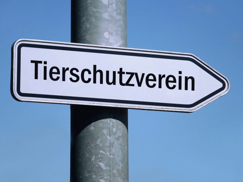 Tierheim in Thüringen