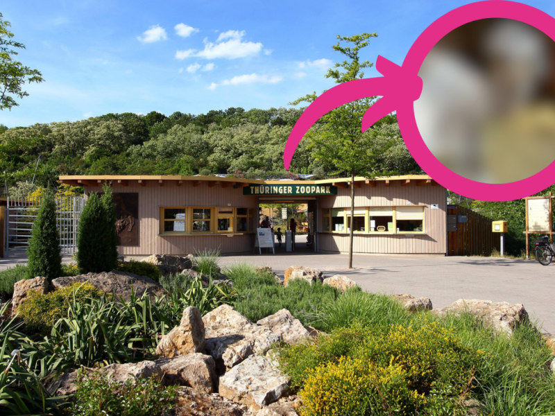 Zoo Erfurt