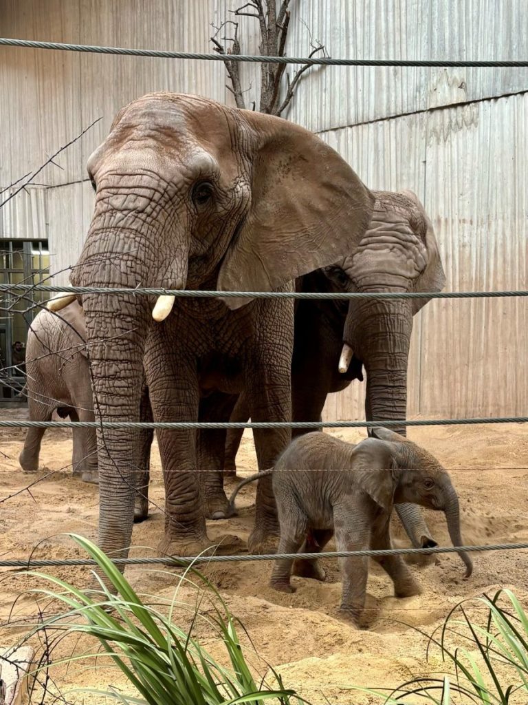 zoo erfurt