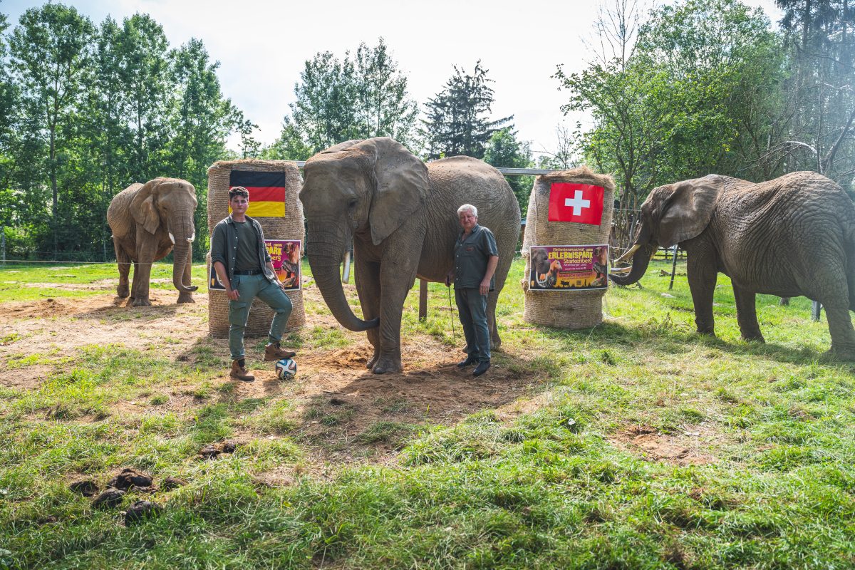 Elefantenranger Jeffrey Weisheit (links), Elefantendame Bubi und Parkbesitzer Hardy Weisheit stehen vor dem Orakeltor.