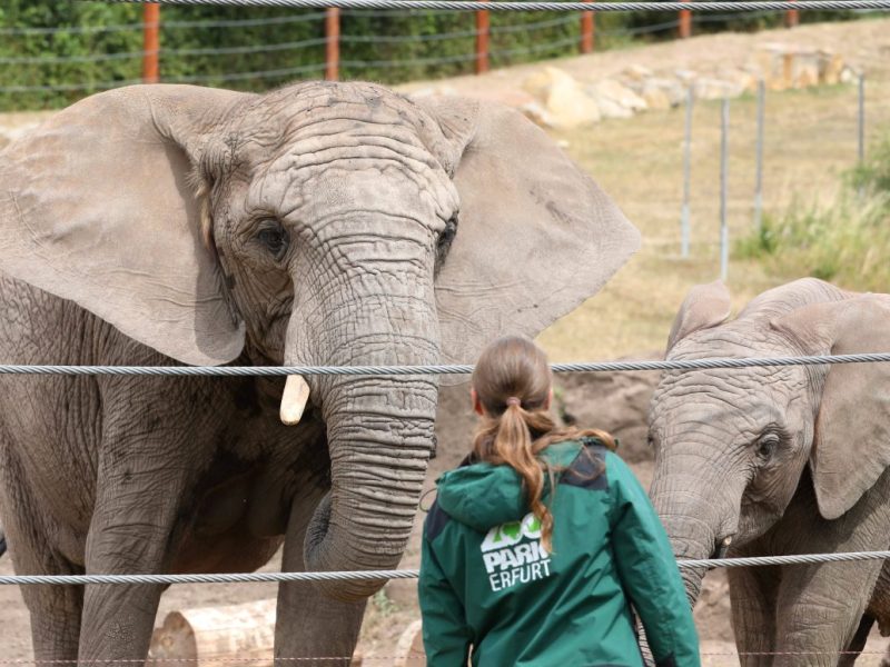 Der Zoo Erfurt startet eine ganz besondere Aktion. (Archivbild)