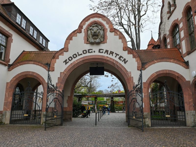Im Zoo Leipzig gibt es für alle Besucher eine neue Attraktion zu entdecken. (Archivbild)