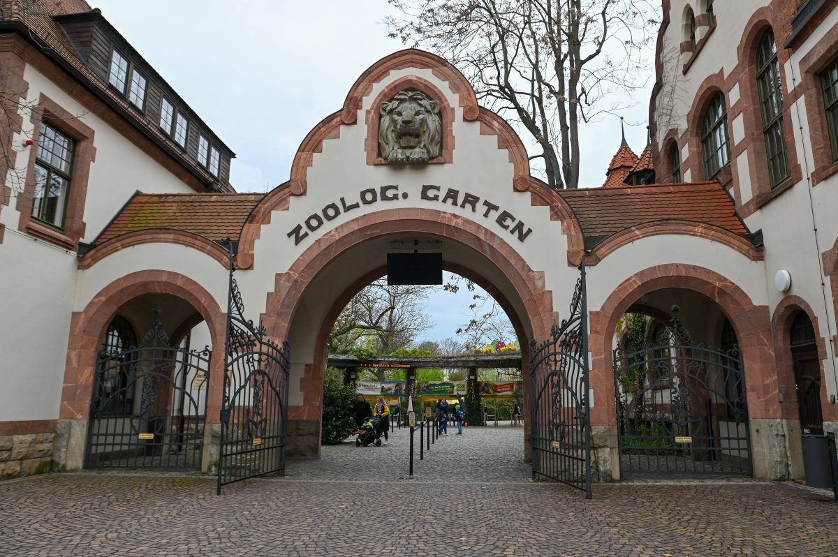 Im Zoo Leipzig gibt es für alle Besucher eine neue Attraktion zu entdecken. (Archivbild)