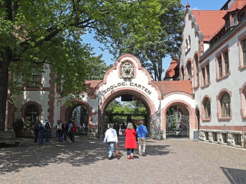 Zoo Leipzig: „Auge-in-Auge“ – krass, was Besucher jetzt erleben können