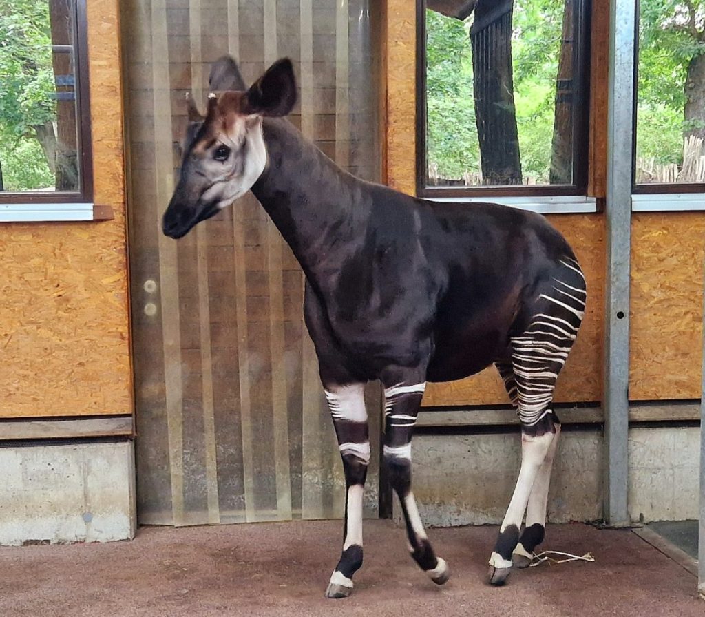 Zoo Leipzig
