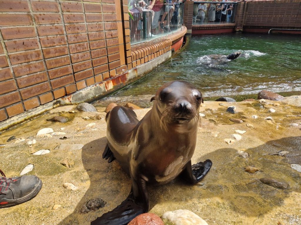 Zoo Leipzig