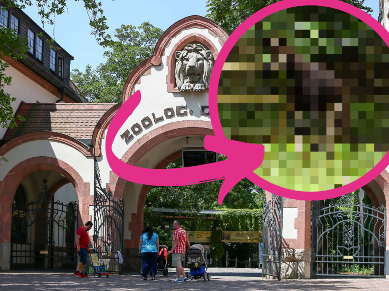 Zoo Leipzig