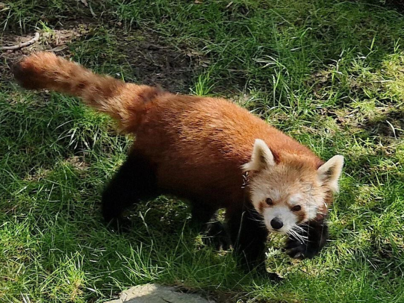 zoo leipzig