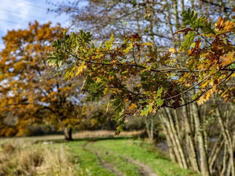 Wetter in Thueringen