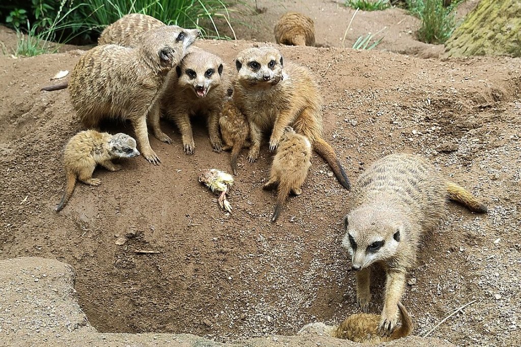 zoo leipzig