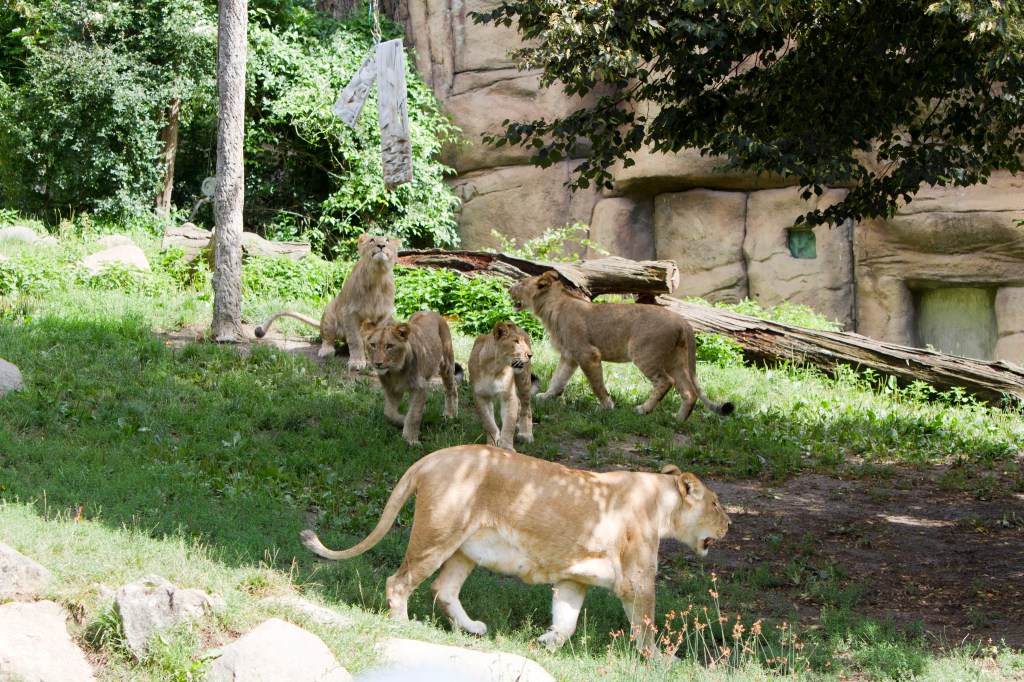 zoo leipzig