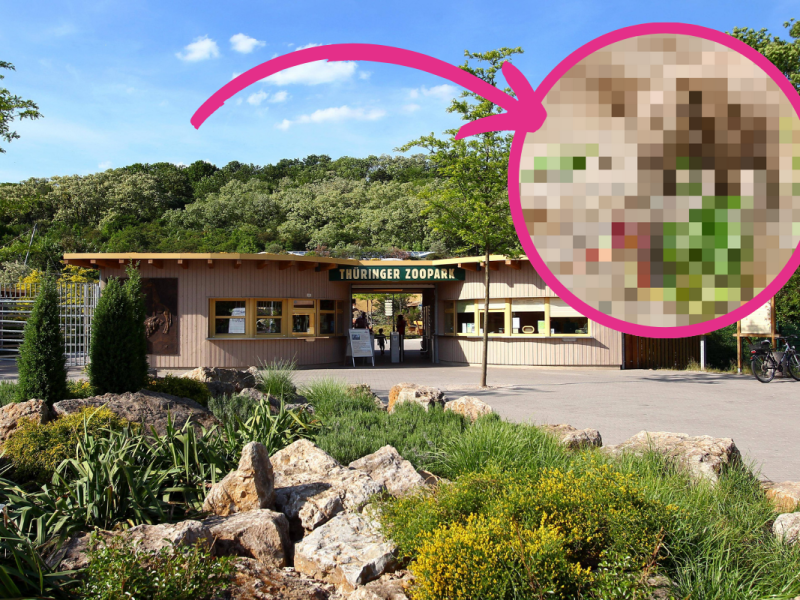 zoo erfurt
