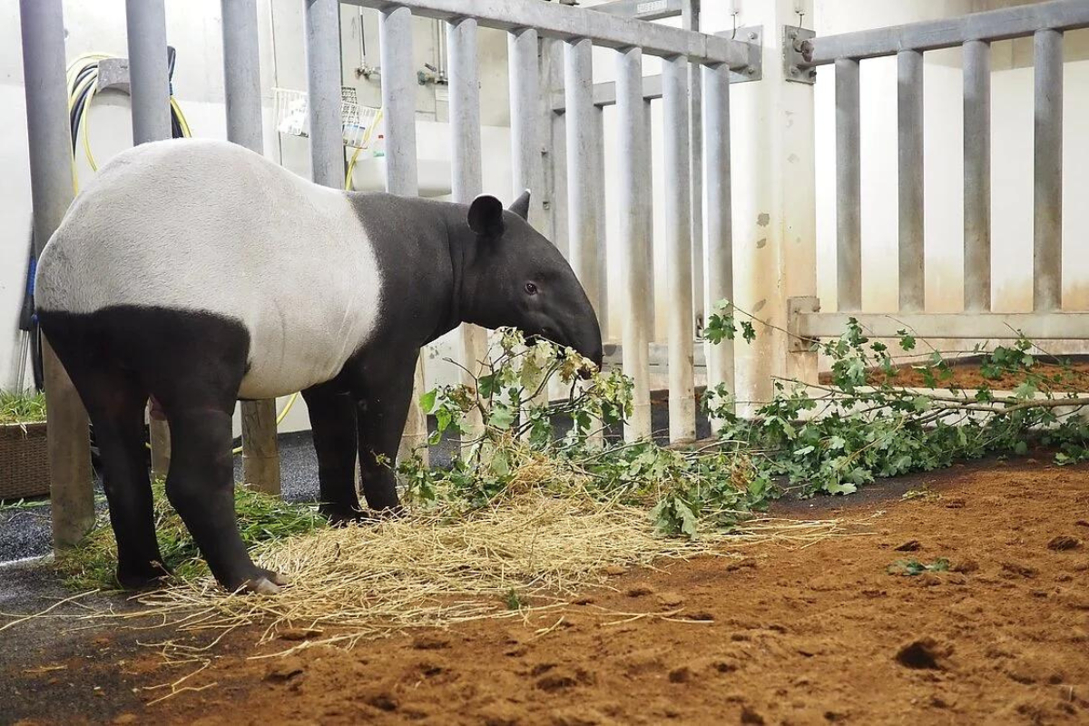 zoo leipzig