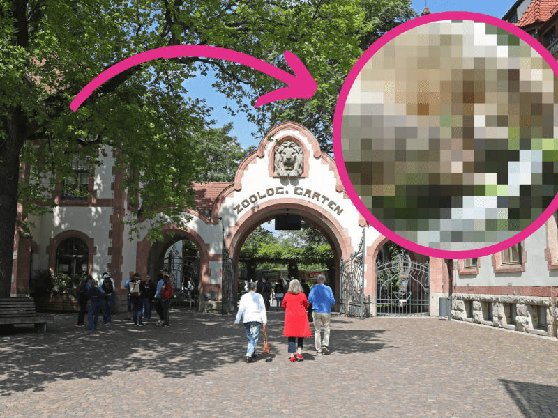 zoo leipzig